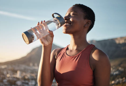 Fitness Accessories